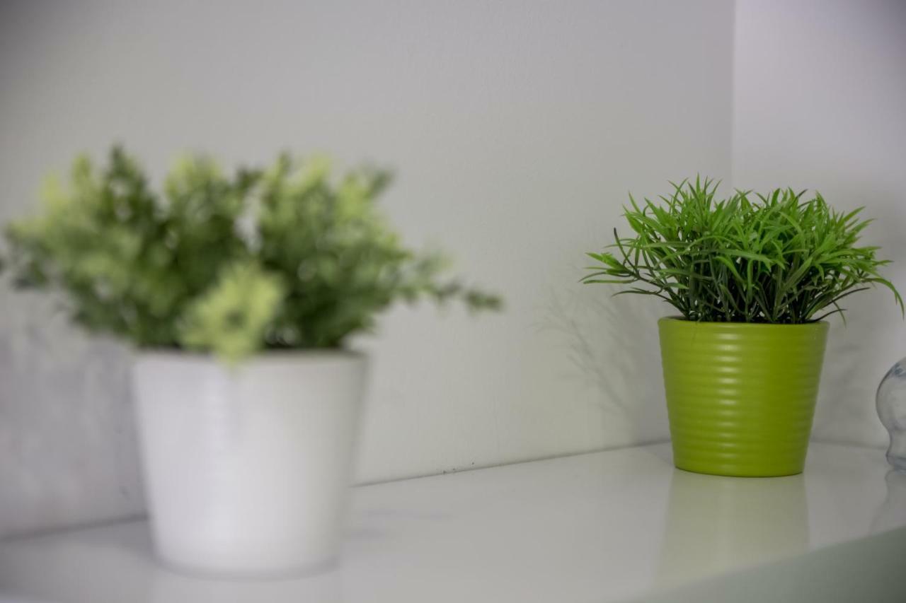 רייקה Apartments In The City מראה חיצוני תמונה
